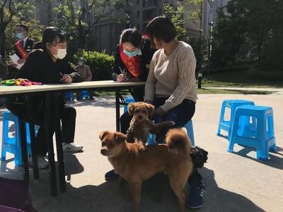 养狗的市民看过来!株洲城区将设养犬便民服务点