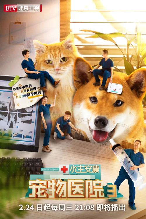 《小主安康-宠物医院3》暖心开播,聚焦动物医疗真实记录大小世界感动