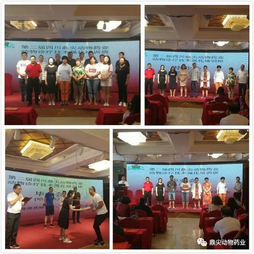 四川鼎尖动物药业公司在哈尔滨召开第二届动物诊疗技术培训会