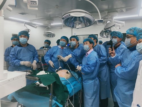 中国医师协会腹腔镜外科医师培训基地成功举办第一期兴安盟医师外科新技术培训班